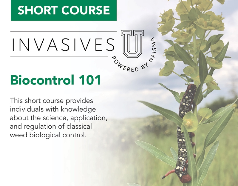 Classical Weed Biological Control 101 Short Course